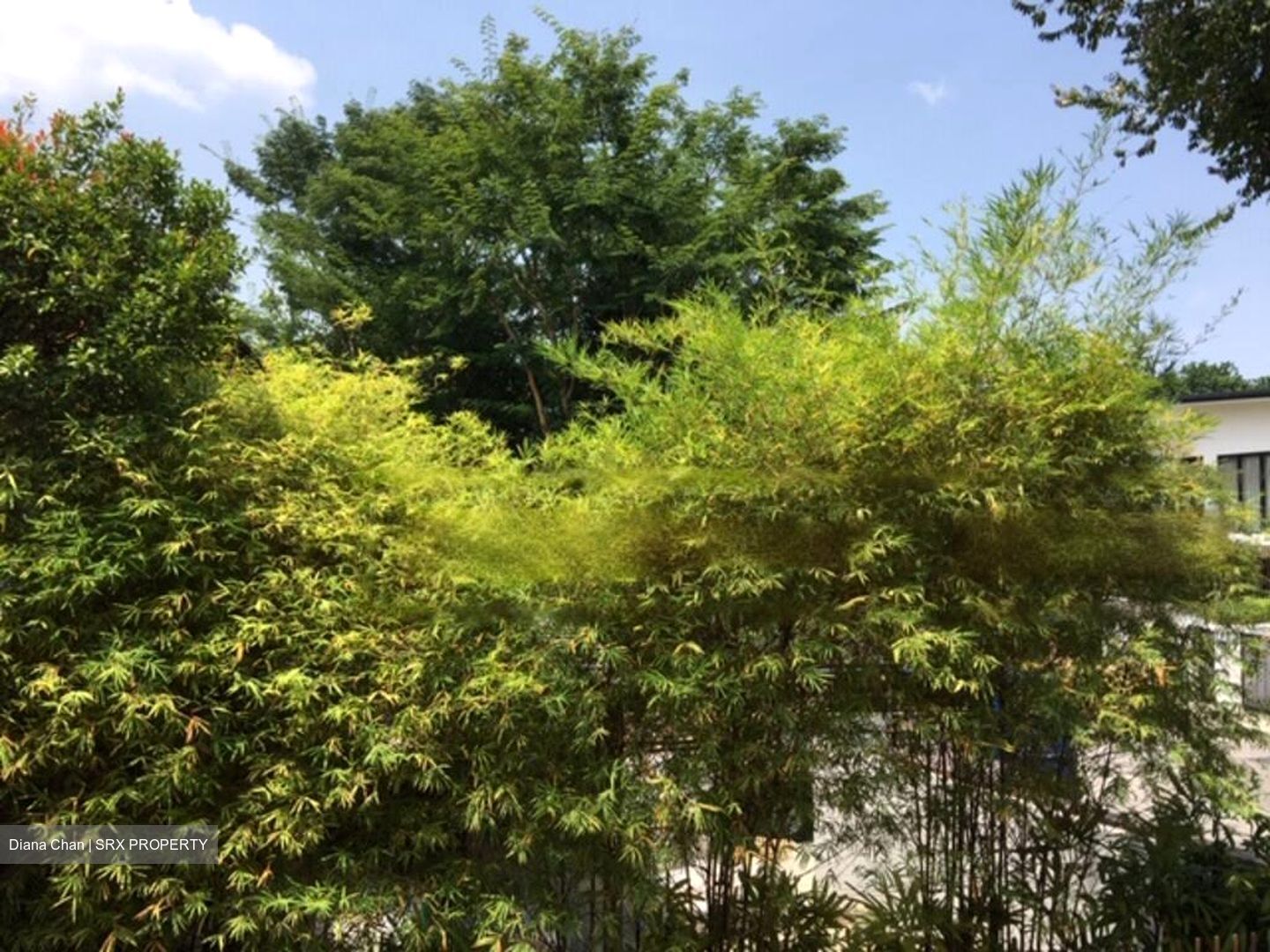 Turf Club Road (D11), Detached #470862761